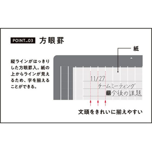 レイメイ 大人の魔法のザラザラ下じき A5 FCD905L-U1257N-イメージ6