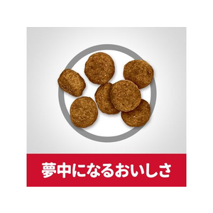 日本ヒルズ・コルゲート サイエンス・ダイエット シニア 小粒 高齢犬用 1.4kg FC338PJ-10948J-イメージ5