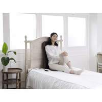 シートマッサージャー2220 MCR2220 アルインコ