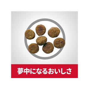 日本ヒルズ・コルゲート サイエンス・ダイエット シニアアドバンスド 小粒1.4kg FC339PJ-10950J-イメージ5