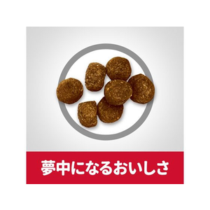 日本ヒルズ・コルゲート サイエンス・ダイエット シニアプラス 小粒 高齢犬用 1.4kg FC340PJ-10951J-イメージ5