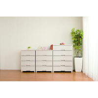 フィッツ ﾌｲﾂﾂﾌﾟﾗｽｲ-ｼﾞ-FE5504CAP Fits プラス イージー 4段