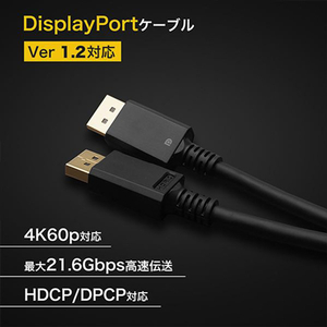 ホ－リック Displayportケーブル 10m DP100-714BB-イメージ2