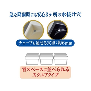 ジェックス メダカ元気 メダカのための飼育箱 白 350 FCD968M-8635-イメージ3