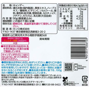 カンロ ノンシュガー果実のど飴 90g F851975-イメージ2