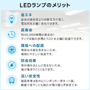 Livtec 20形 直管形LEDランプ グロースタータ式 昼光色 2本入り LW-LT20GT2P-D-イメージ7