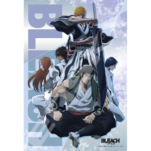 エンスカイ 300-3162 BLEACH 千年血戦篇 -相剋譚- AT3003162BLEACHｿｳｺｸﾀﾝ-イメージ1
