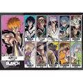 エンスカイ 1000T-537 BLEACH CALL YOUR NAME VISUAL AT1000T537BLEACHCALLYOUR