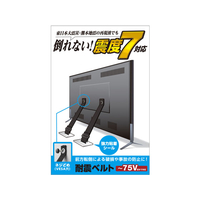 エレコム 耐震ベルト ネジどめVESA穴 ~75V用 2本入 FC55279-TS-006N