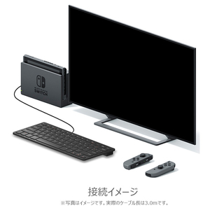 HORI コンパクトキーボード for Nintendo Switch NSW002-イメージ3