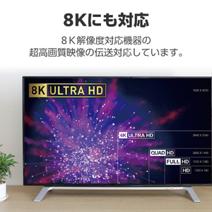 エレコム ウルトラハイスピードHDMI(R)ケーブル(2m) ブラック CAC-HD21E20BK2-イメージ5