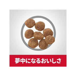 日本ヒルズ・コルゲート サイエンス・ダイエット アダルト ラム&ライス 小型犬用成犬用 3kg FC349PJ-605129-イメージ5