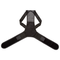 サンファミリー 姿勢リセットベルト Lタイプ ｼｾｲﾘｾｯﾄﾍﾞﾙﾄL