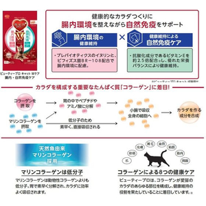 日本ペットフード ビューティープロ キャット Wケア 腸内・自然免疫ケア 150g FC495PX-イメージ3