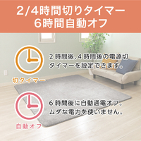 コイズミ KDC20226 電気カーペット カバー1枚付き(2畳相当