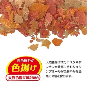 ジェックス 金魚元気 水キレイフレーク 50g FCD977M-31269-イメージ5