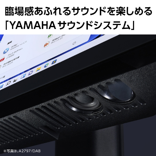 NEC 一体型デスクトップパソコン e angle select LAVIE A23 ファインブラック PC-A2365GAB-E3 PC A2365GAB Home AMD グラフィックス Type USB Gen