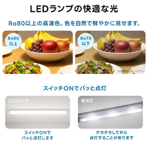 Livtec 40形 直管形LEDランプ インバータ式 昼白色 1本入り LW-LT40HF-N-イメージ8