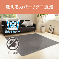 コイズミ KDC30226 電気カーペット カバー1枚付き(3畳相当