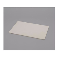 アイリスオーヤマ 390x600mm バスマット(珪藻土) FCF373J-65-2318-83