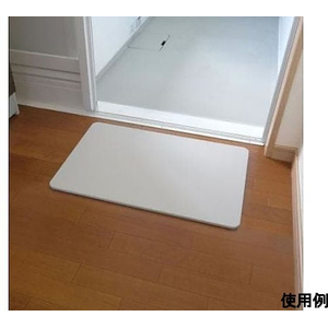 アイリスオーヤマ 390x600mm バスマット(珪藻土) FCF373J-65-2318-83-イメージ4