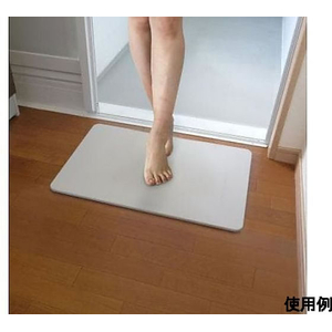 アイリスオーヤマ 390x600mm バスマット(珪藻土) FCF373J-65-2318-83-イメージ5