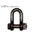 ＴＡＩＹＯ JISシャックル M級 黒 SB-24 1010550 JSB24 FC316ZH-3380258