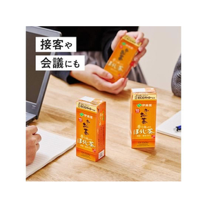 伊藤園 お～いお茶 ほうじ茶 250mL×24本 FCT1218-イメージ8
