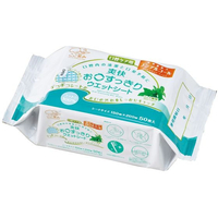 ハクゾウメディカル 爽快お口すっきり ウェットシート 50枚 ミント風味 FCG241B-25-6593-00