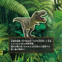 ハピネット ﾀﾞｲｷﾖｳﾘﾕｳﾃｲﾗﾉｻｳﾙｽﾚﾂｸｽ 大恐竜時代(ティラノサウルス