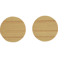 トラスコ ねじ穴用シール（ねじ穴かくし） φ１４ＭＭ パイン １２個入 TRUSCO ねじ穴用シール NC14-PIN