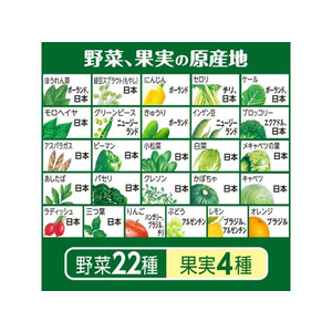 伊藤園 充実野菜 緑の野菜ミックス 740g×15本 FCB9519-イメージ3