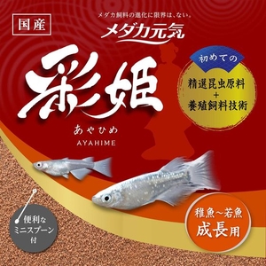 ジェックス メダカ元気 彩姫 成長用 40g FCD981M-31272-イメージ2
