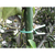 トラスコ 園芸用ペーパータイ　幅４ｍｍ×長さ１５０ｍｍ　緑　１００本入 PVT150-100-イメージ3