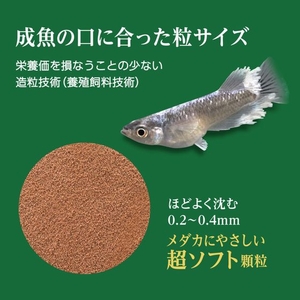 ジェックス メダカ元気 彩姫 極上 40g FCD982M-31279-イメージ3