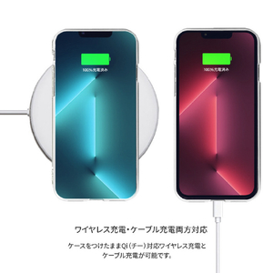 Dparks iPhone SE(第3世代)/SE(第2世代)/8/7用ソフトクリアケース DINO BRACHIOSAURUS DS22728ISE3-イメージ14