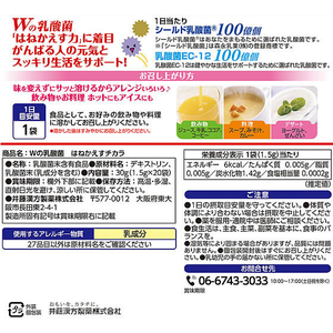 井藤漢方製薬 Wの乳酸菌 はねかえすチカラ 1.5g×20袋 FC947MS-イメージ2
