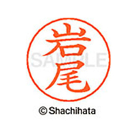 シヤチハタ ネームペン用ネーム シルバー 既製 岩尾 FC46074-X-GPS-0303