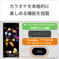 SONY SRS-ULT70 ワイヤレスポータブルスピーカー ULT FIELD 7 ブラック