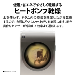 シャープ 【右開き】11.0kgドラム式洗濯乾燥機 アッシュゴールド ESV11BNR-イメージ10