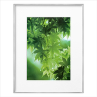 ハクバ ZEROフレーム(A4) シルバー FZG01-A4SV