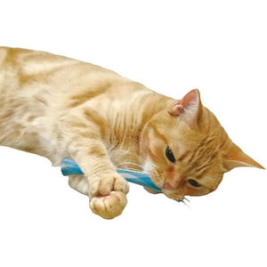 ドギーマン 猫ちゃん歯ブラシ かみかみ歯ピカ 2個入り FCJ967J-イメージ3