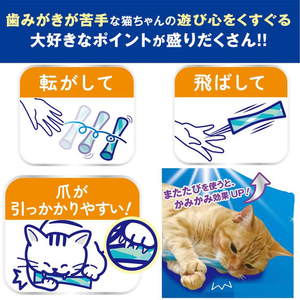 ドギーマン 猫ちゃん歯ブラシ かみかみ歯ピカ 2個入り FCJ967J-イメージ5