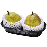 パックスタイル BPフルーツ 2L 黒 100枚 FC934SG-00415453