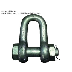ＴＡＩＹＯ JISシャックル M級 ドブ SB-26 3010556 JSB26G FC319ZH-1356423-イメージ1