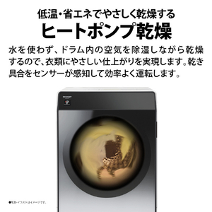 シャープ 【右開き】11.0kgドラム式洗濯乾燥機 シルバー系 ESG11BSR-イメージ8