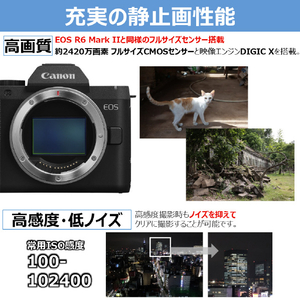 キヤノン EOS R8 Mark II・RF24-105 IS STM レンズキット ブラック EOSR8MK224105ISSTMLK-イメージ4