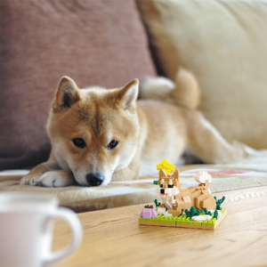 カワダ ナノブロック 柴犬 ナノブロック 柴犬 NBC414ｼﾊﾞｲﾇ-イメージ6