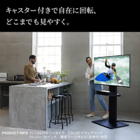 EQUALS（イコールズ） WALL INTERIOR TVSTAND V2 LOW TYPE