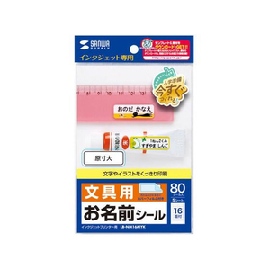 サンワサプライ インクジェットお名前シール (横長) FCM0080-LB-NM16MYK-イメージ1
